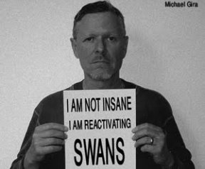 Swans